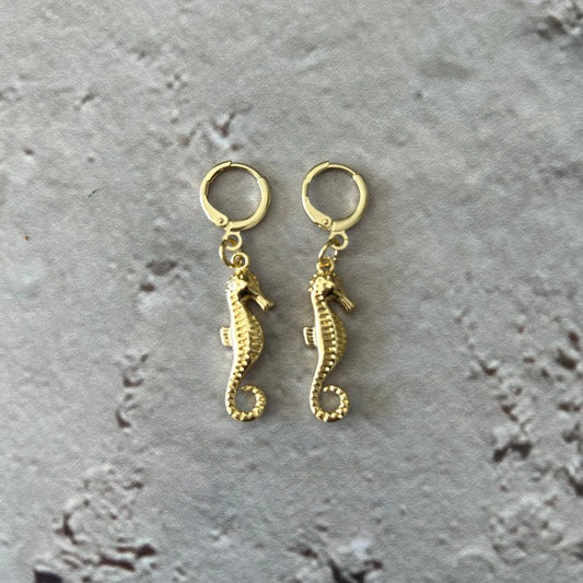 Aros argolla Caballito de Mar SHELLYBEACH