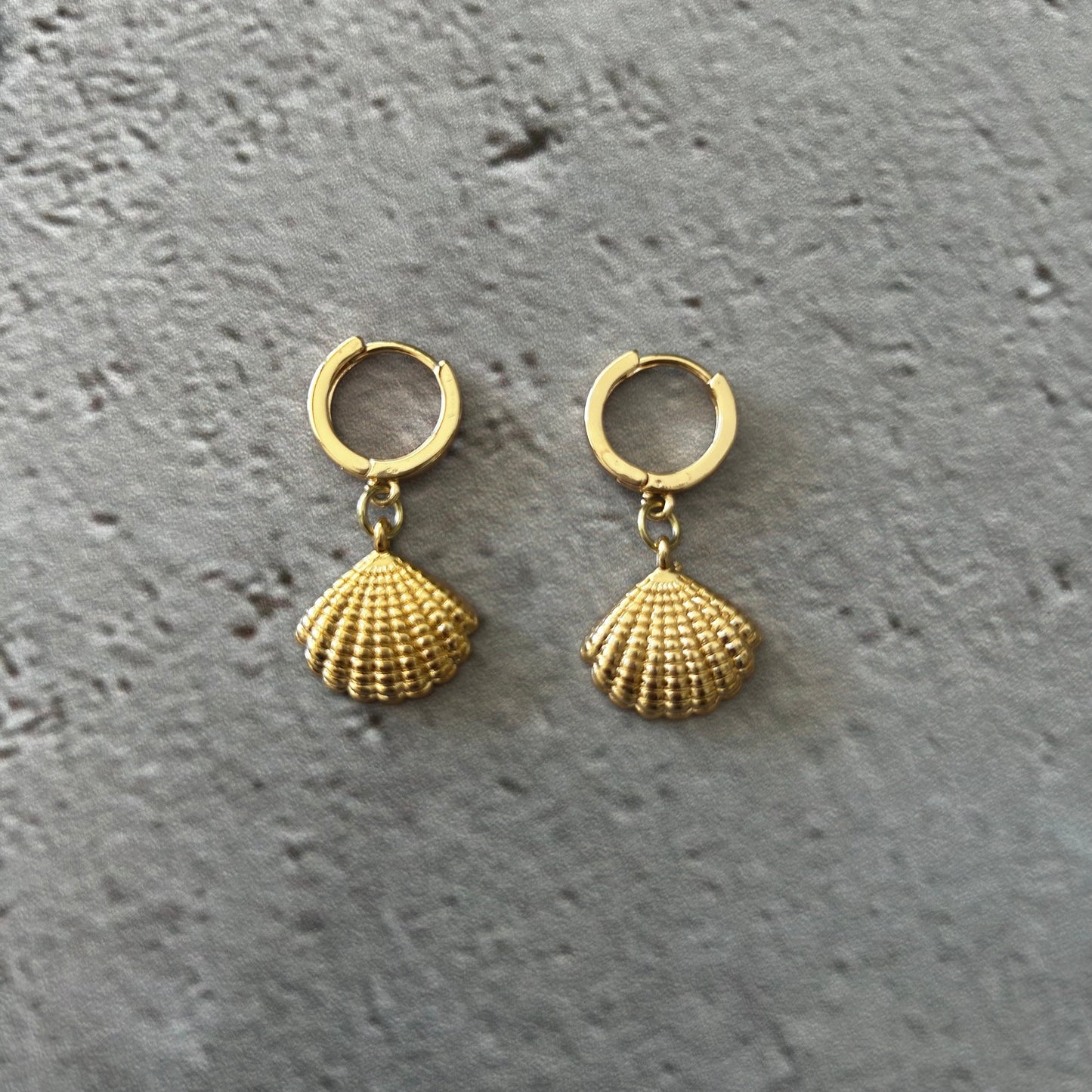 Aros argolla Conchita SHELLYBEACH