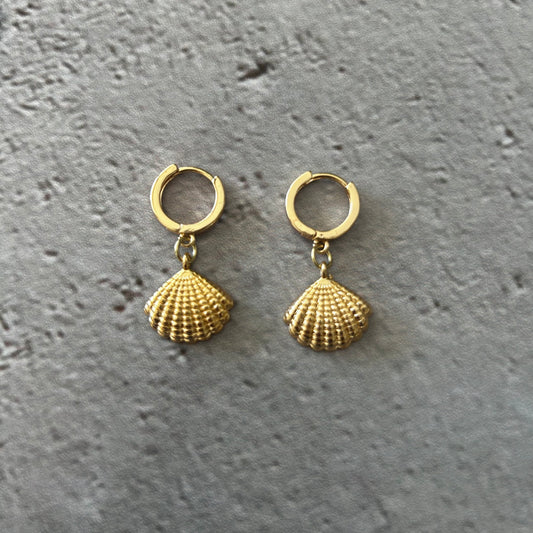 Aros argolla Conchita SHELLYBEACH