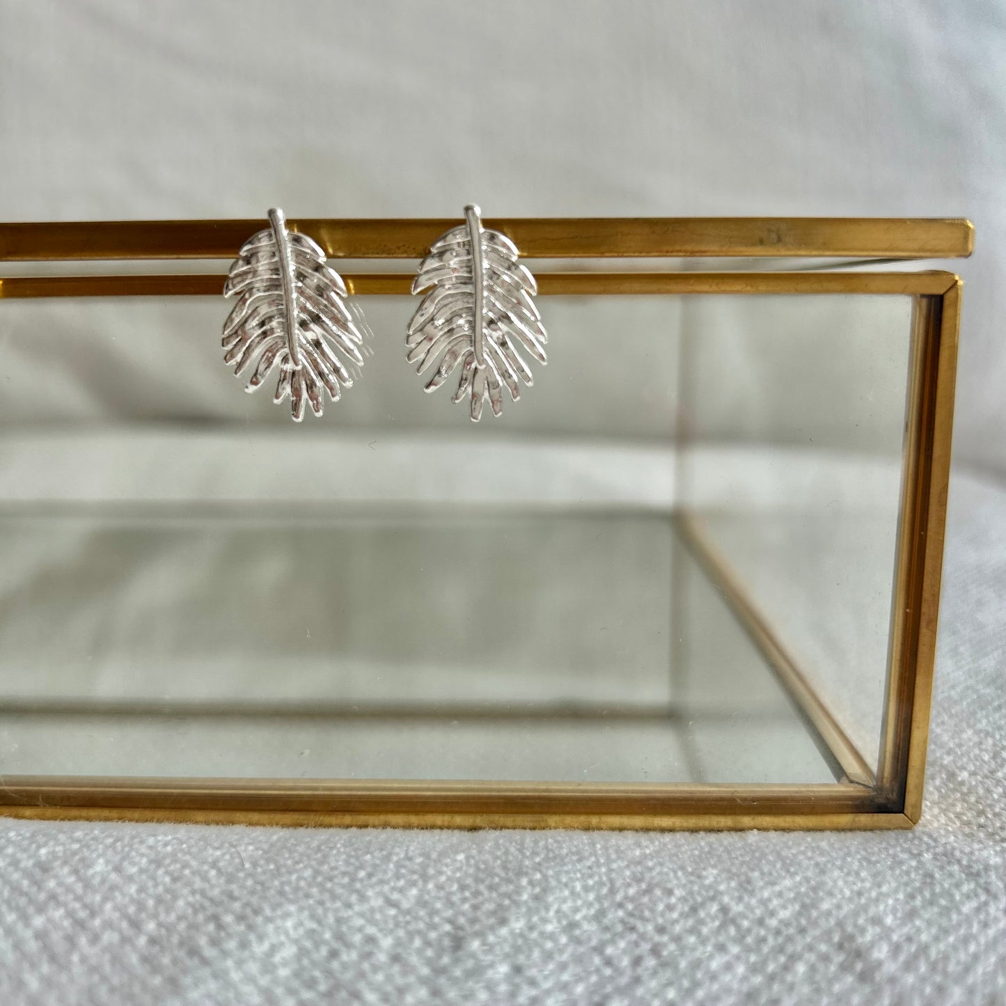 Aros Rama chica plata